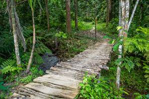 BIB: 
                            <button type="button" onclick="openModal(21893086)" class="btn btn-primary btn-sm float-right btn-popup" data-toggle="modal" data-target=".modal-high-quality">
                        <i class="fas fa-shopping-cart"></i> Add to Cart
                    </button>
                                            <button type="button" onclick="isThisMe(21893086, true)" class="btn btn-success btn-sm float-right btn-popup btn-isme hidden" data-toggle="tooltip" data-placement="bottom" title="นี่คือรูปของคุณใช่ไหม คลิกที่นี่เพื่อเอาเข้าอัลบั้ม">
                        <i class="fas fa-plus"></i> Add to album
                    </button>
                    <button type="button" onclick="isThisMe(21893086, false)" class="btn btn-warning btn-sm float-right btn-popup btn-isnotme hidden">
                        <i class="fas fa-ban"></i> Remove from album
                    </button>